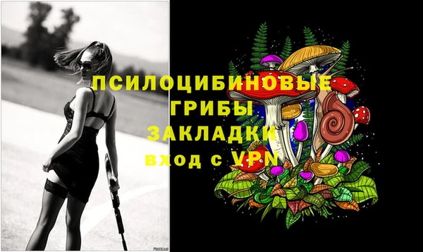 синтетический гашиш Киреевск