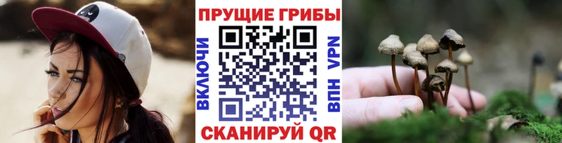 Галлюциногенные грибы мухоморы  Тамбов 